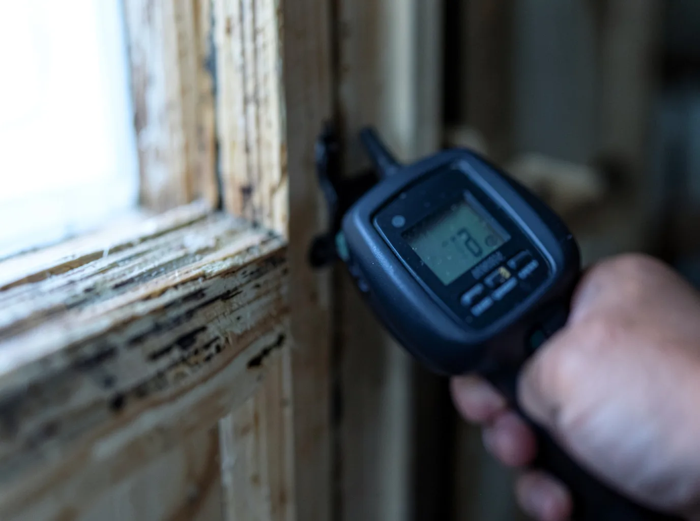 Ceiling Water Damage Repair in Cordova, NM